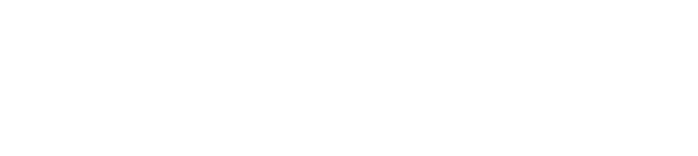 Audio by Bang & Olufsen
